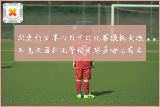 新秀们分享心目中的比赛模板麦迪布克浓眉科比等传奇球员榜上有名